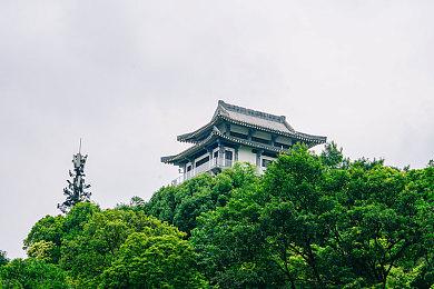 《星球大战：亡命之徒》新视频介绍角色和帮派